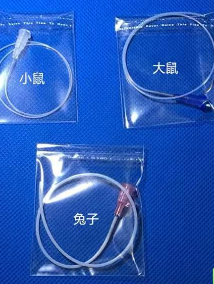 動靜脈插管(僅供動物實驗用)